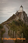 Nugget Point 0641